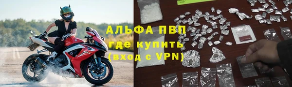 стаф Балахна