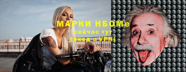 стаф Балахна