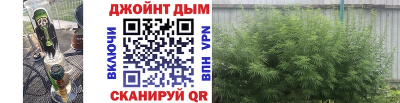 Купить  Верхнеуральск  Бошки марихуана Amnesia 